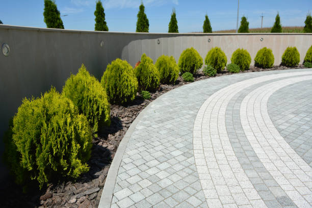 Best Driveway Pavers Cost  in Bowie, TX